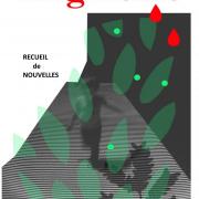 Premiere de couverture fragments